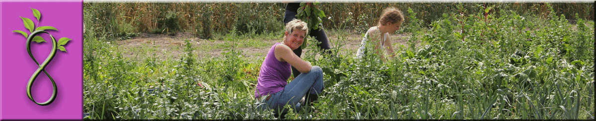 BIO moestuin in de buurt