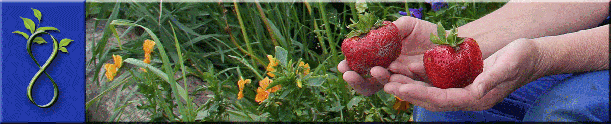 BIO moestuin in de buurt